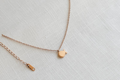 Kette mit Fisch