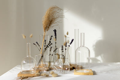 Stillselio test tubes vases, set of 3