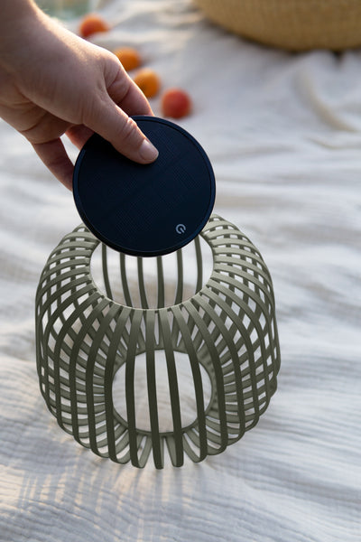 Solar Lampe, Waldgrün