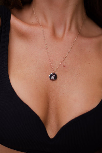 Kette mit Hirsch Münze Anhänger