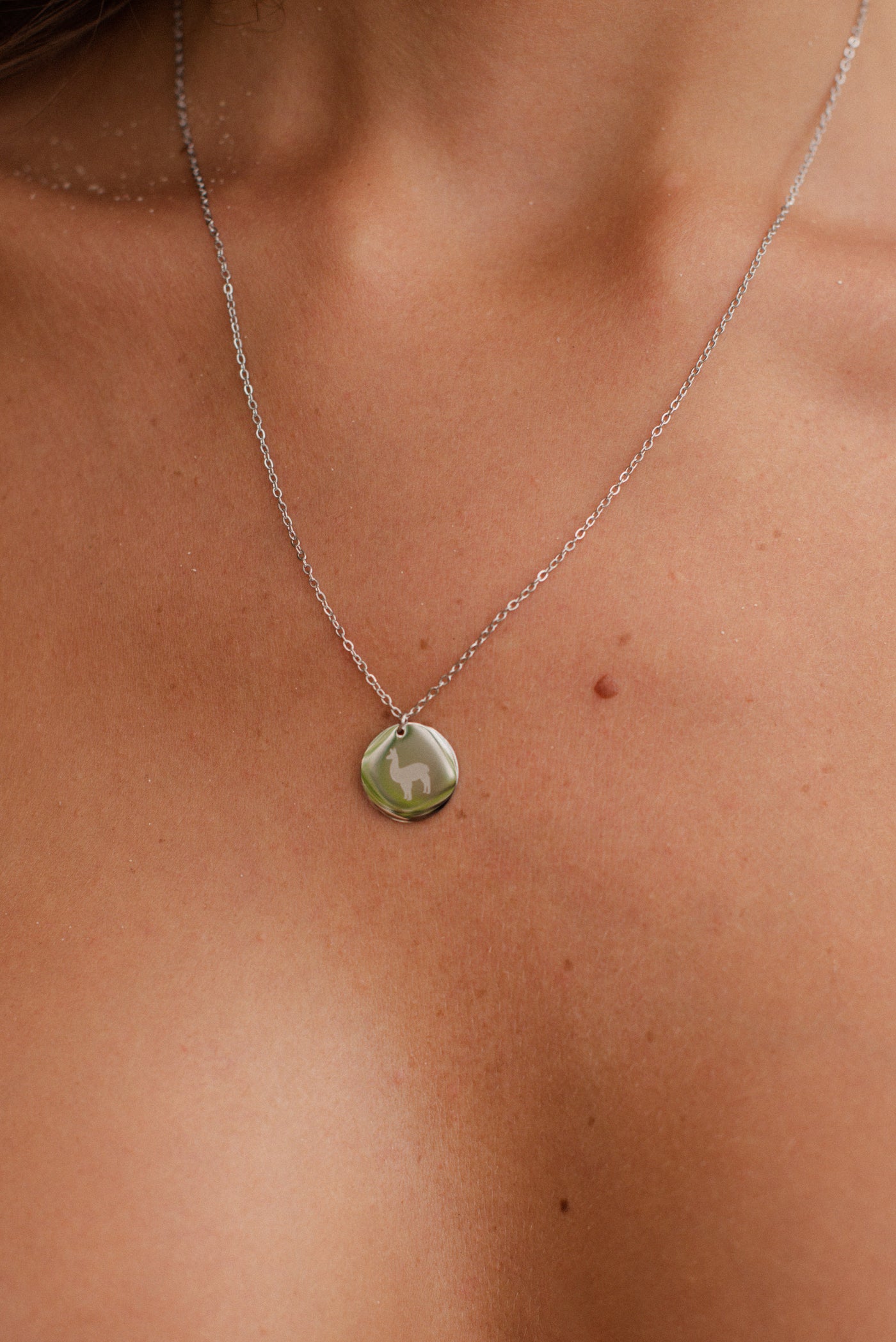 Kette mit Alpaka Anhänger
