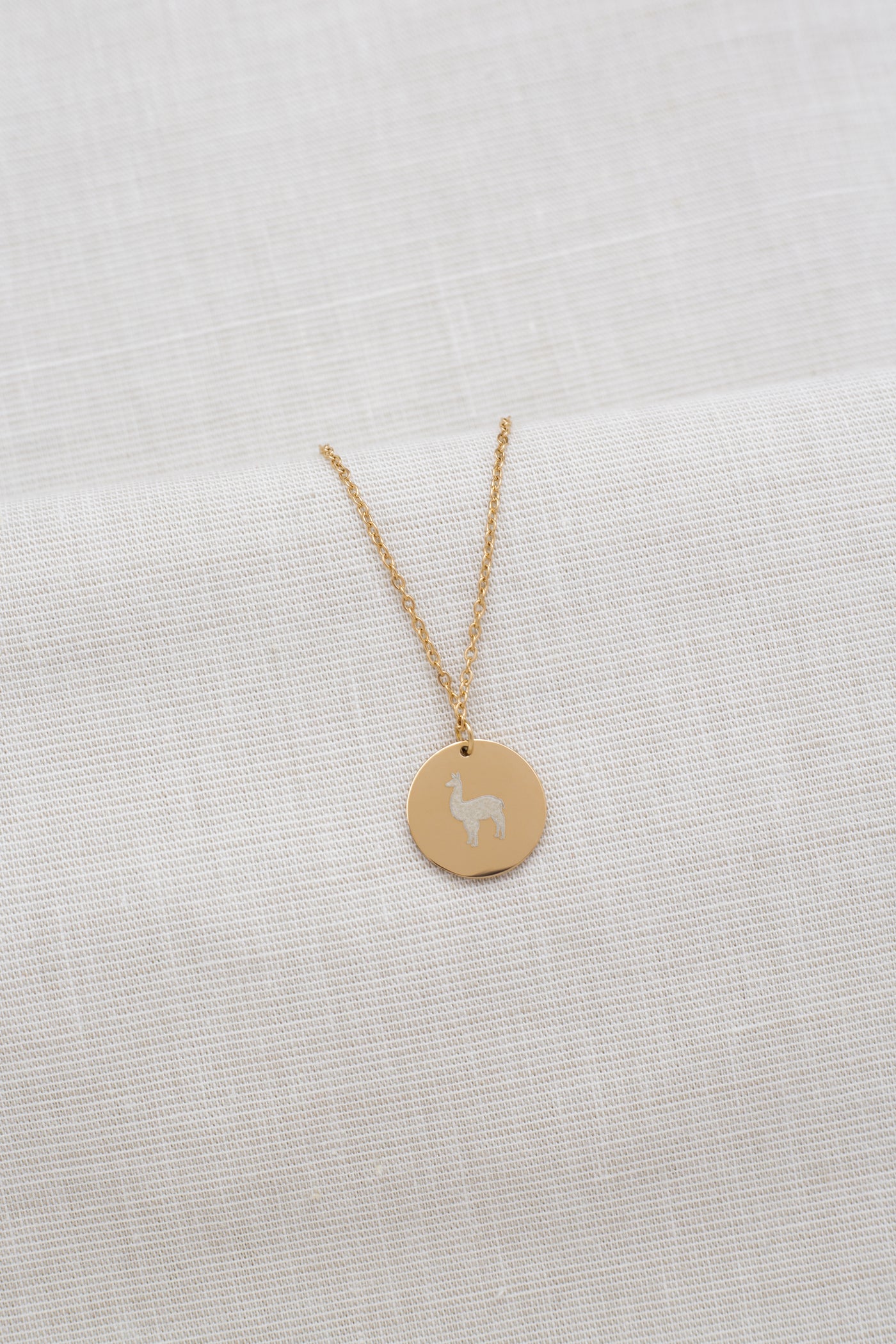 Kette mit Alpaka Anhänger
