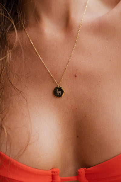 Kette mit Alpaka Anhänger