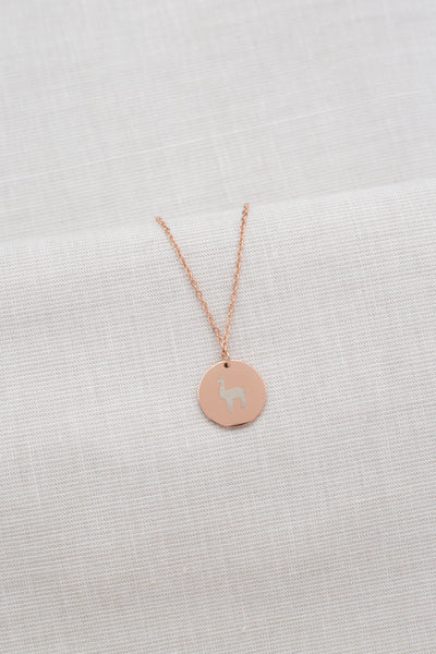 Kette mit Alpaka Anhänger