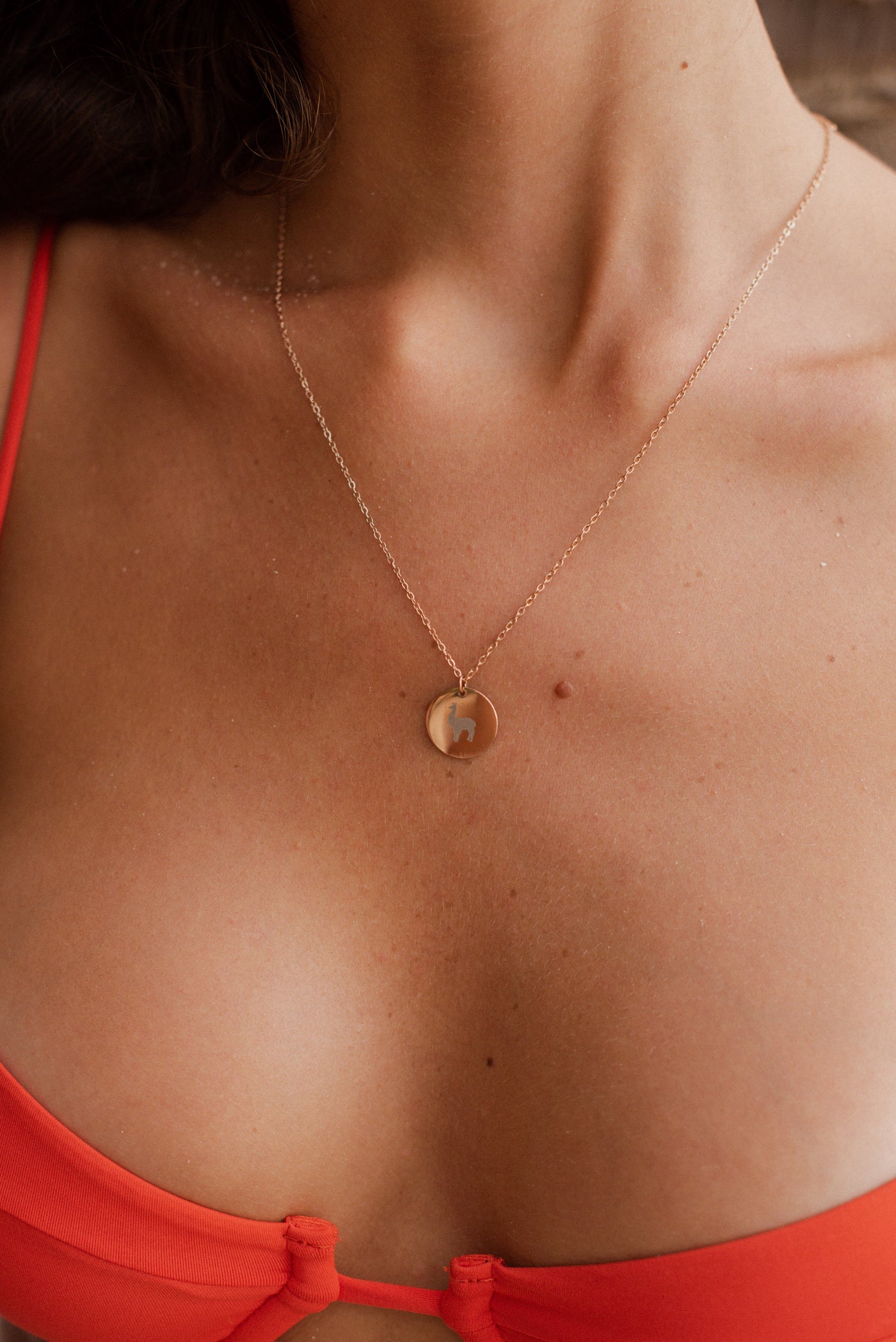 Kette mit Alpaka Anhänger