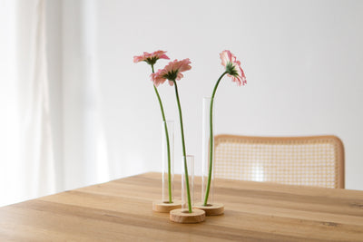 Stillselio test tubes vases, set of 3