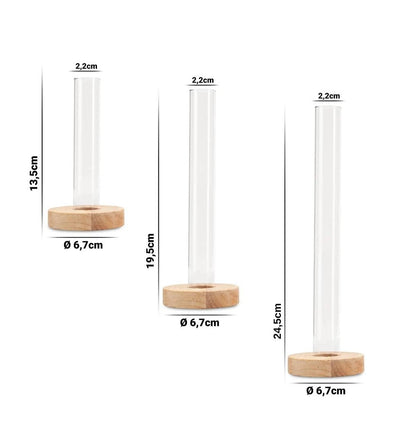 Stillselio test tubes vases, set of 3